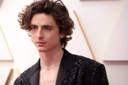 Is Timothee Chalamet bisexual? Unraveling the Mystery Behind the Actor